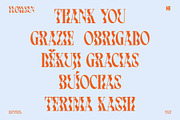 Flowsun | Psychchedelic Serif Font, a Serif Font by Eotype Studio (Thumbnail 11 of 11)