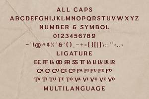 Clephons -Vintage Serif Display Font