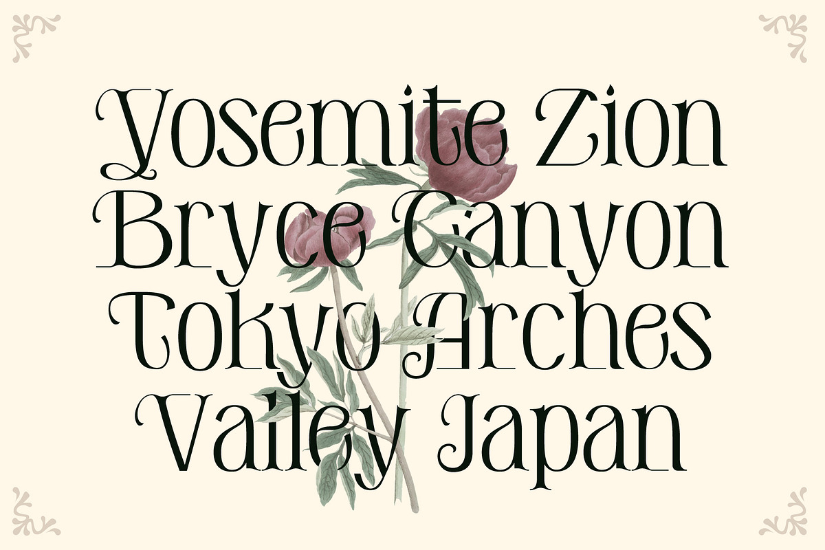 De Elora | Contemporary Art Nouveau, a Sans Serif Font by StoricType (Photo 9 of 17)