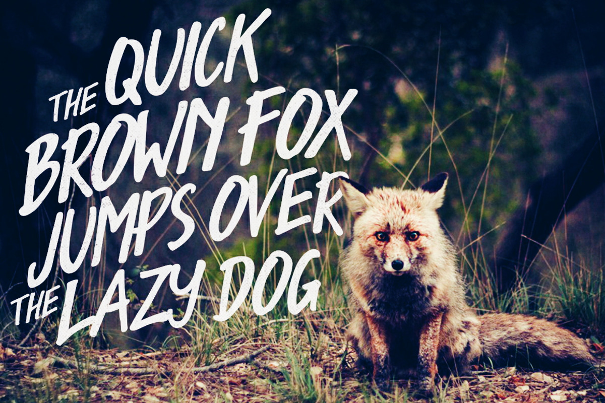 Vintage Font Bundle | 49 Fonts in 1, a Sans Serif Font by Twicolabs Fontdation (Photo 6 of 17)