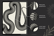 Procreate snake brushes, a Brush Add-On by KsTumanova (Thumbnail 3 of 6)