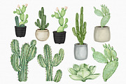 Watercolor Cactus PNG Clipart Set, an Illustration by MiracleArtAndDesign (Thumbnail 3 of 4)