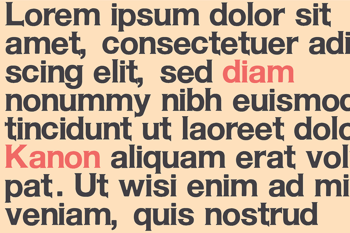 Kanon-Serif Font Family 20% OFF preview 8