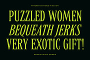 MTC Quinnie - Condensed Serif!, a Serif Font by Martype (Thumbnail 10 of 12)