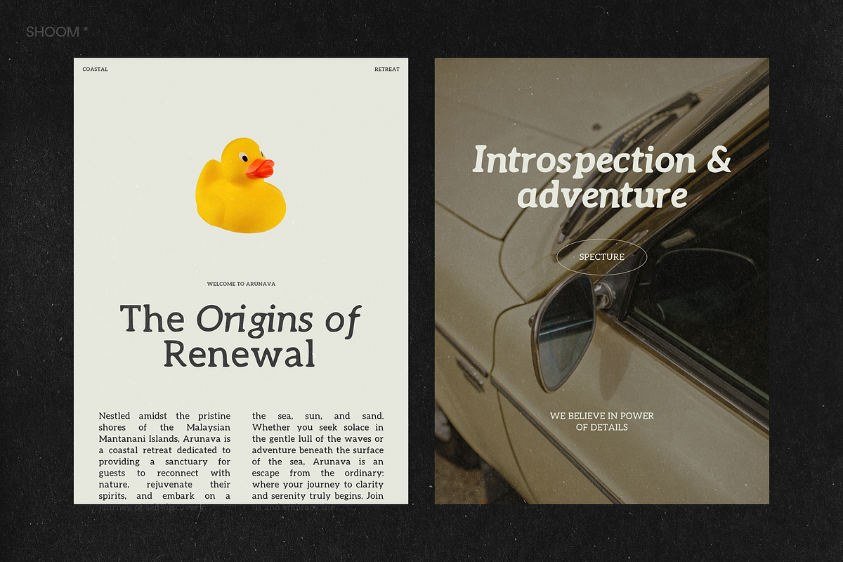 Raw Serif - Handwritten Font Family, a Serif Font by SHOOM HOUSE (Photo 9 of 12)