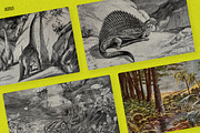 The Age of Dinosaurs, an Illustration by Nomad Visuals (Thumbnail 4 of 10)