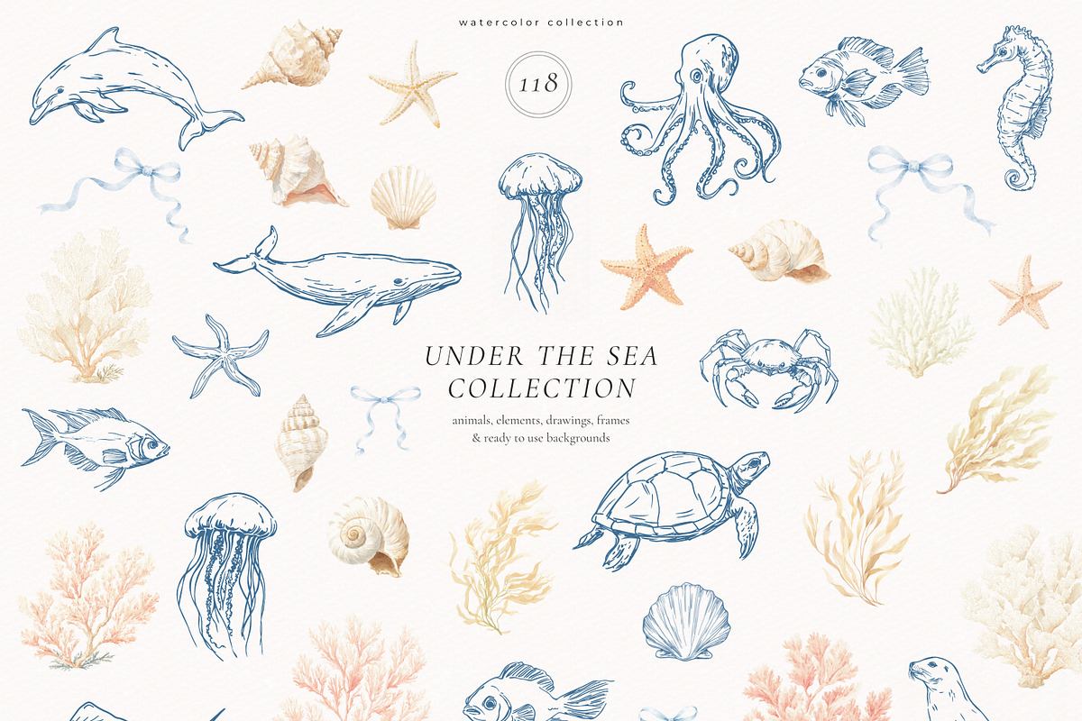 Under The Sea Collection, an Animal Illustration by PeDe Designs (Photo 4 of 7)