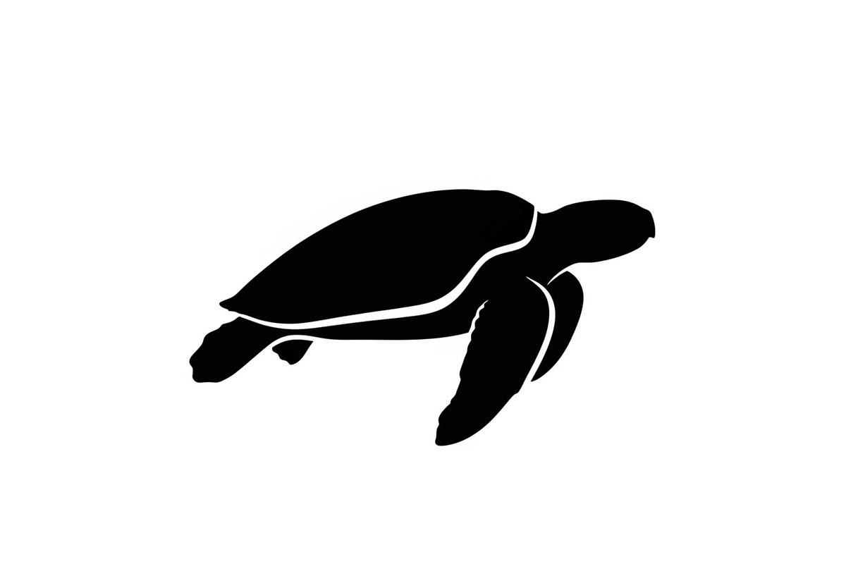 50 Sea Turtle Vector Silhouette Bund, an Illustration by jahid234 (Photo 33 of 51)