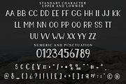 Maraton, a Sans Serif Font by FreshTypeINK (Thumbnail 8 of 8)