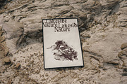 Lakeside Nature Illustrations, an Empty State Illustration by TheMountBirdStudio (Thumbnail 9 of 17)