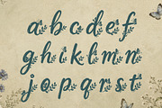 Aerisfly - Butterflies & Floral, a Script Font by HypeWorksCo (Thumbnail 16 of 17)