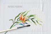 Tropical Vacation. Watercolor, a Seasonal Illustration by Farida Bik (Thumbnail 11 of 16)
