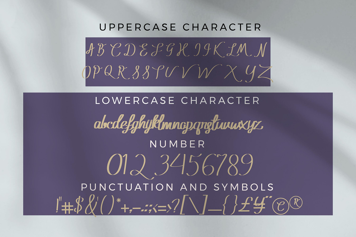 Jihan Meta - Script style font, a Script Font by mahstudios (Photo 5 of 8)