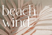 Histeagin Serif, a Serif Font by Yahya Type (Thumbnail 15 of 25)