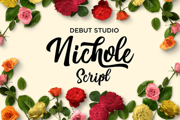 Nichole Script (30% OFF) preview 7