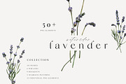 Lavender watercolor collection, an Illustration by Diana Askarova Art (Thumbnail 1 of 9)