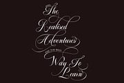 Graphitel Script + Ornaments, a Script Font by Typehill (Thumbnail 3 of 15)