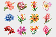 Watercolor Tropical Flowers Cipart, a Seasonal Illustration by Design Market (Thumbnail 3 of 5)