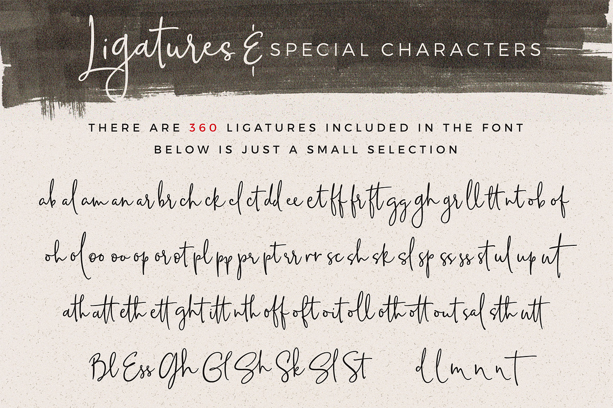 Musette Script, a Script Font by DISTRICT 62 STUDIO (Photo 8 of 8)