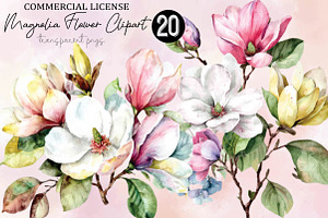 Watercolor Magnolia Flower Clipart, a Healthcare Illustration by SVGArt