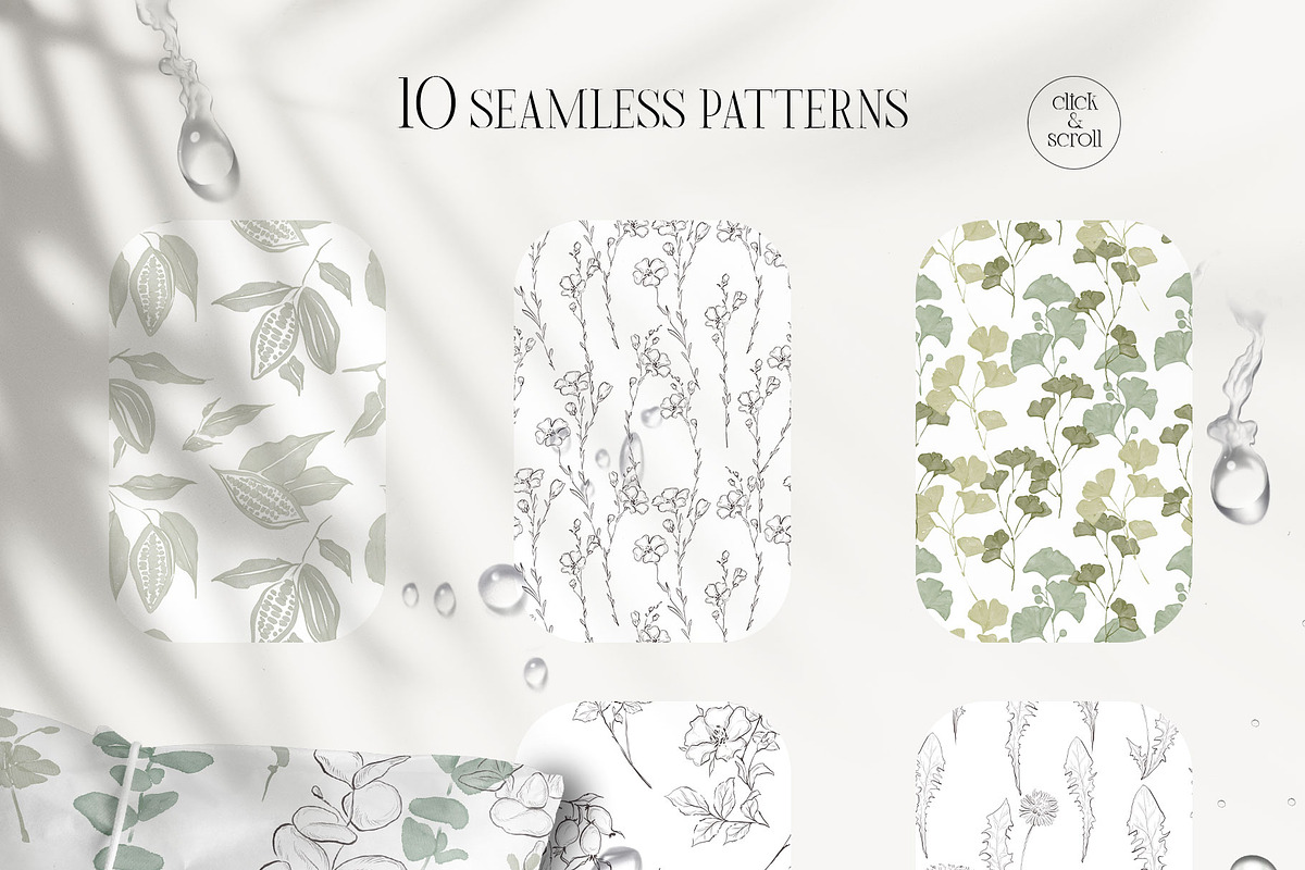 PLANTS & HERBS illustrations set, a Healthcare Illustration by Yuliia Lashevska (Photo 13 of 14)