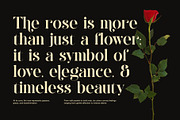 Morsewira Elegant Serif Font, a Serif Font by Perfectype (Thumbnail 3 of 8)