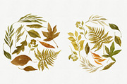 Watercolor Autumn Leaves Bundle, an Illustration by Helga Wigandt (Thumbnail 16 of 18)