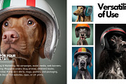 Speedy Tails: Helmet Dogs Bundle, an Animal Photo by Virgo Studio (Thumbnail 5 of 6)