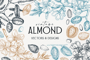 Vintage Almond Nut Vectors & Designs