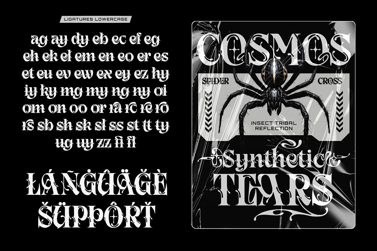 Astral Melt Typeface, a Serif Font by alit design (Photo 18 of 20)