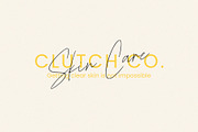 Smithland Handwritten Script, a Script Font by Seagulls Creative (Thumbnail 5 of 11)