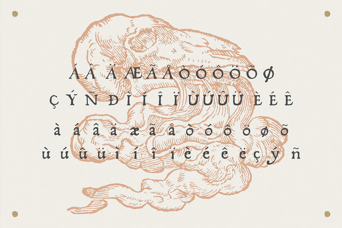 Fratelli - Serif font + Extras preview 6