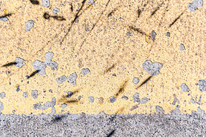 Concrete sidewalk background with shadows of the plant, a Nature Photo by Anna Bogush
