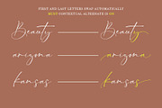 Sunderland, a Script Font by Teweka (Thumbnail 9 of 12)