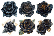 Black and Gold Rose Clipart, an Illustration by Pixels.Craft (Thumbnail 2 of 7)