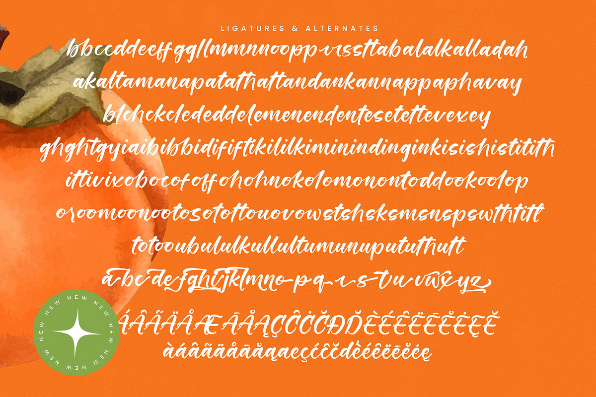 Starfall Nights New Modern Handbrush, a Script Font by stylishtype.co (Photo 19 of 20)