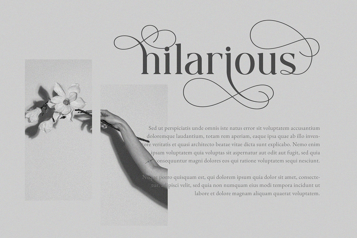 Blessing Melody - Stylish Serif, a Serif Font by epicatype (Photo 8 of 10)