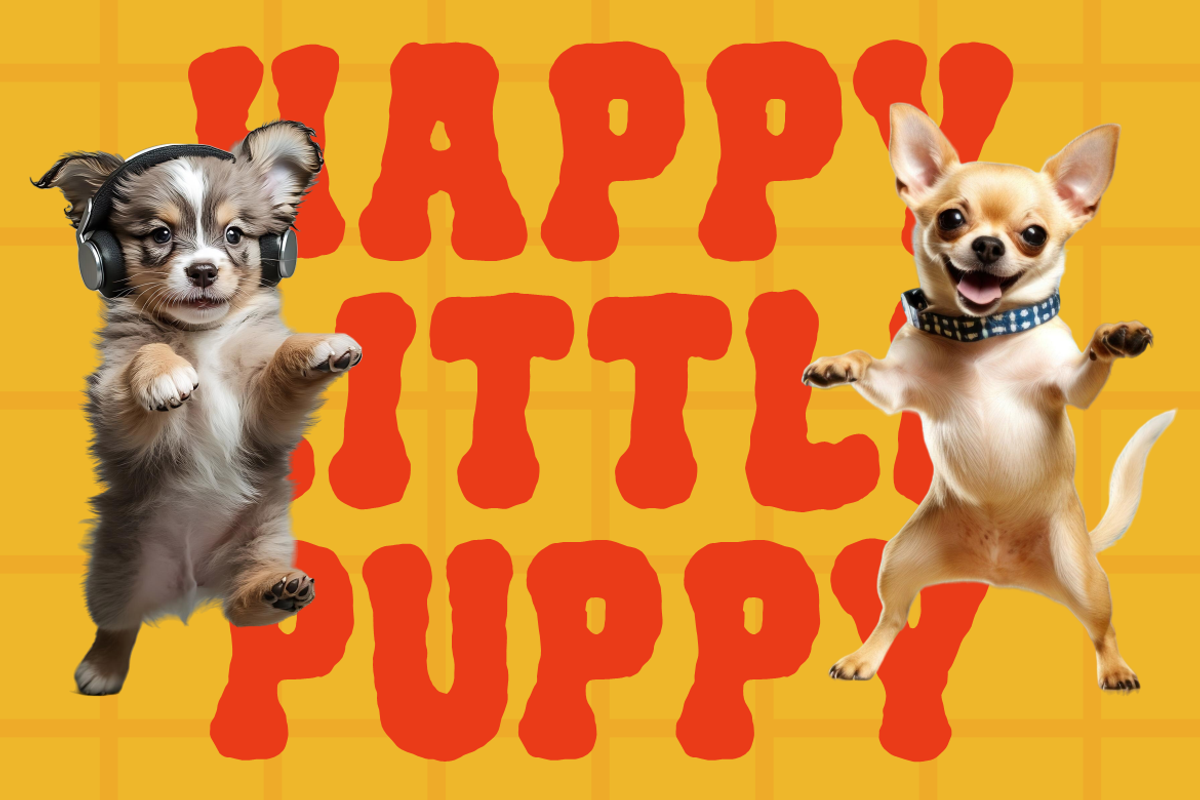 Toonify Bold Doodle Font, a Font by PutraCetol Studio (Photo 2 of 5)