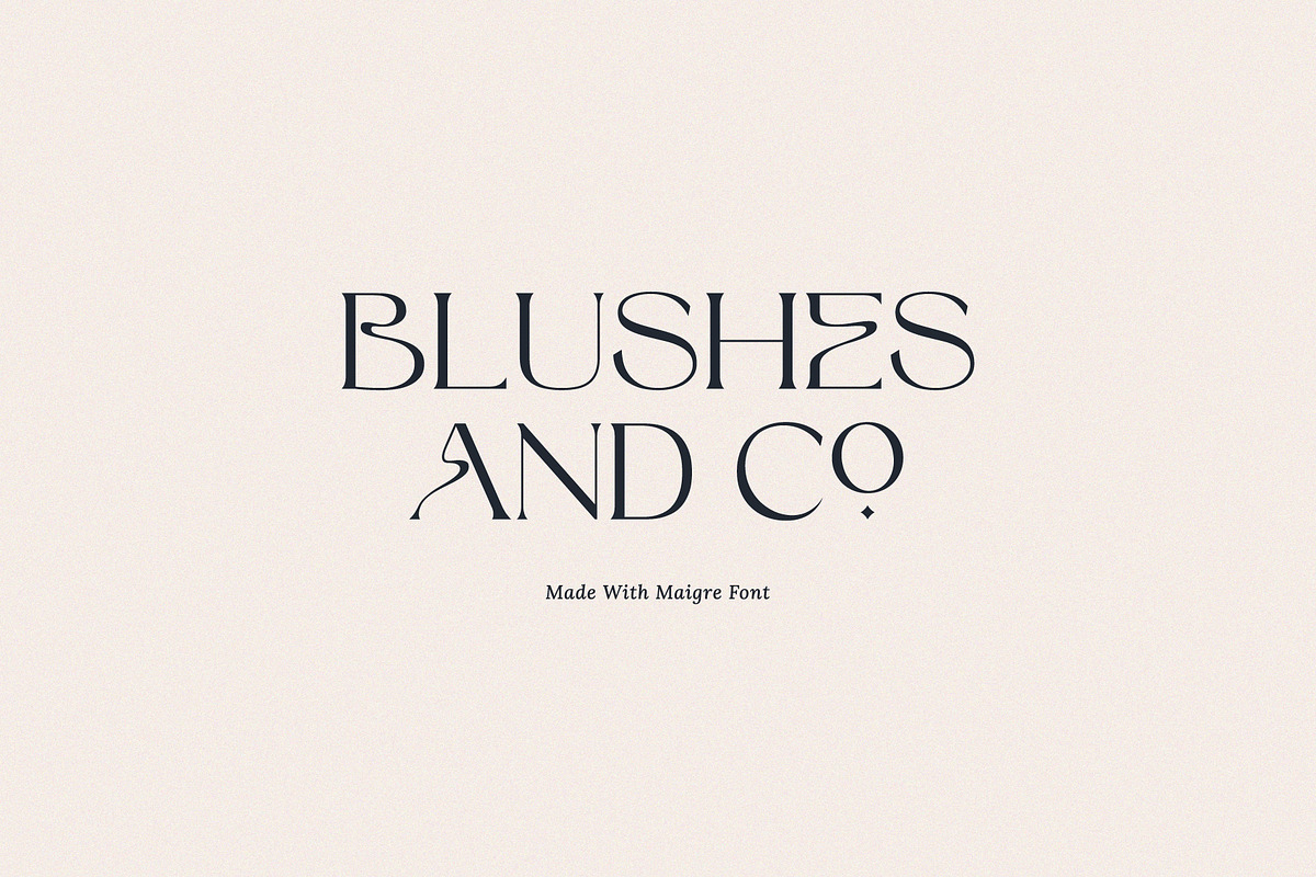 Maigre - Modern Serif, a Serif Font by Prioritype Co (Photo 9 of 15)