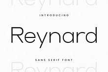 Reynard - Thin Elegant Font