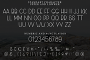 Minimalist, a Sans Serif Font by FreshTypeINK (Thumbnail 5 of 8)