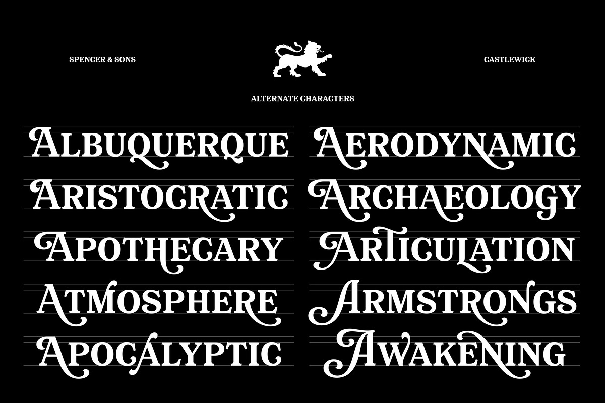 Castlewick - Old Tale Typeface, a Serif Font by Spencer & Sons Co. (Photo 8 of 8)