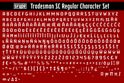 Tradesman SC Family, a Sans Serif Font by GRYPE (Thumbnail 3 of 3)