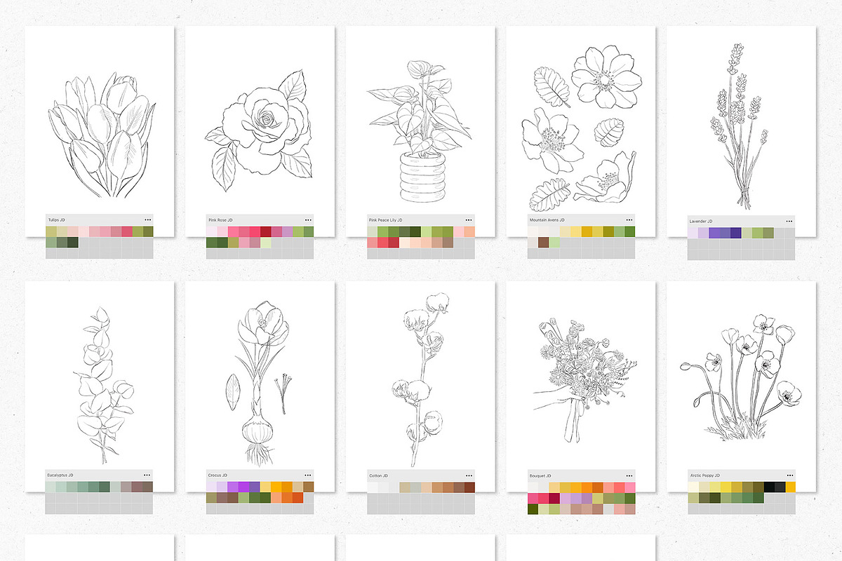 Digital Sketches & Color Palettes, a Palette Add-On by Julia Dreams (Photo 3 of 7)