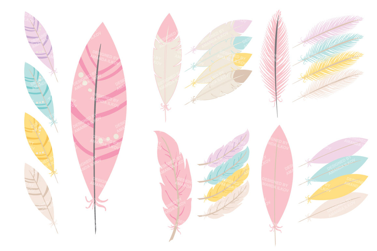 Pink Feathers Clipart & Vectors, an Illustration by Amanda Ilkov (Photo 3 of 4)