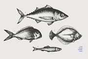 Fish Vector Collection, an Animal Illustration by Lubov Illustrations Shop (Thumbnail 3 of 6)