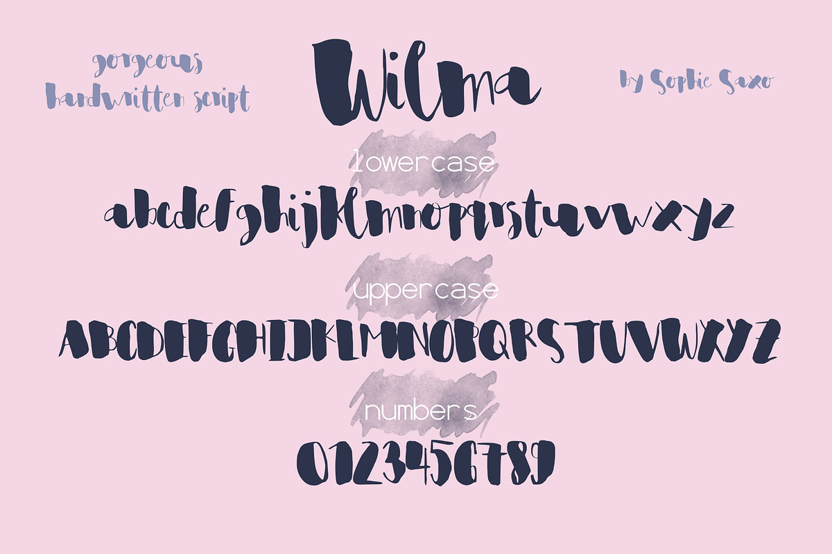 Wilma Font preview 8