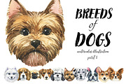 Breeds of dogs - watercolor. Part 1, an Animal Illustration by KatBranchArt (Thumbnail 1 of 5)