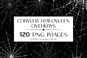 120 Spider Web PNG Digital Download