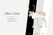 100 polar animal clip art, an Animal Illustration by Poppy Lane Studio (Thumbnail 10 of 12)